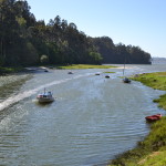 Ponte do Porco