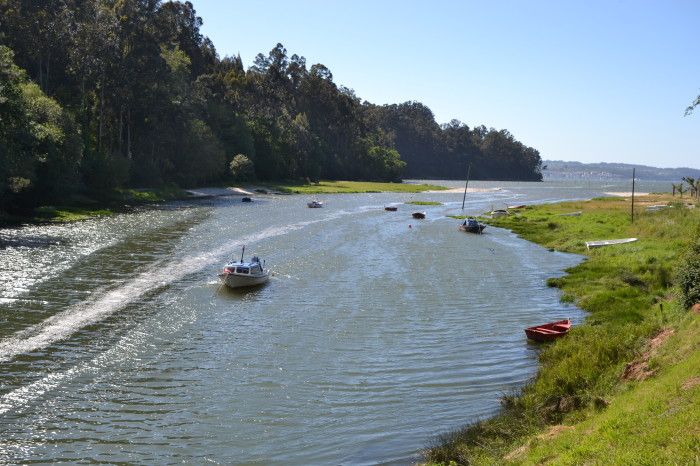 Ponte do Porco