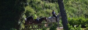 Paseos a cabalo e clases de equitación nos arredores da Casa Pousadoira - Miño - Galicia